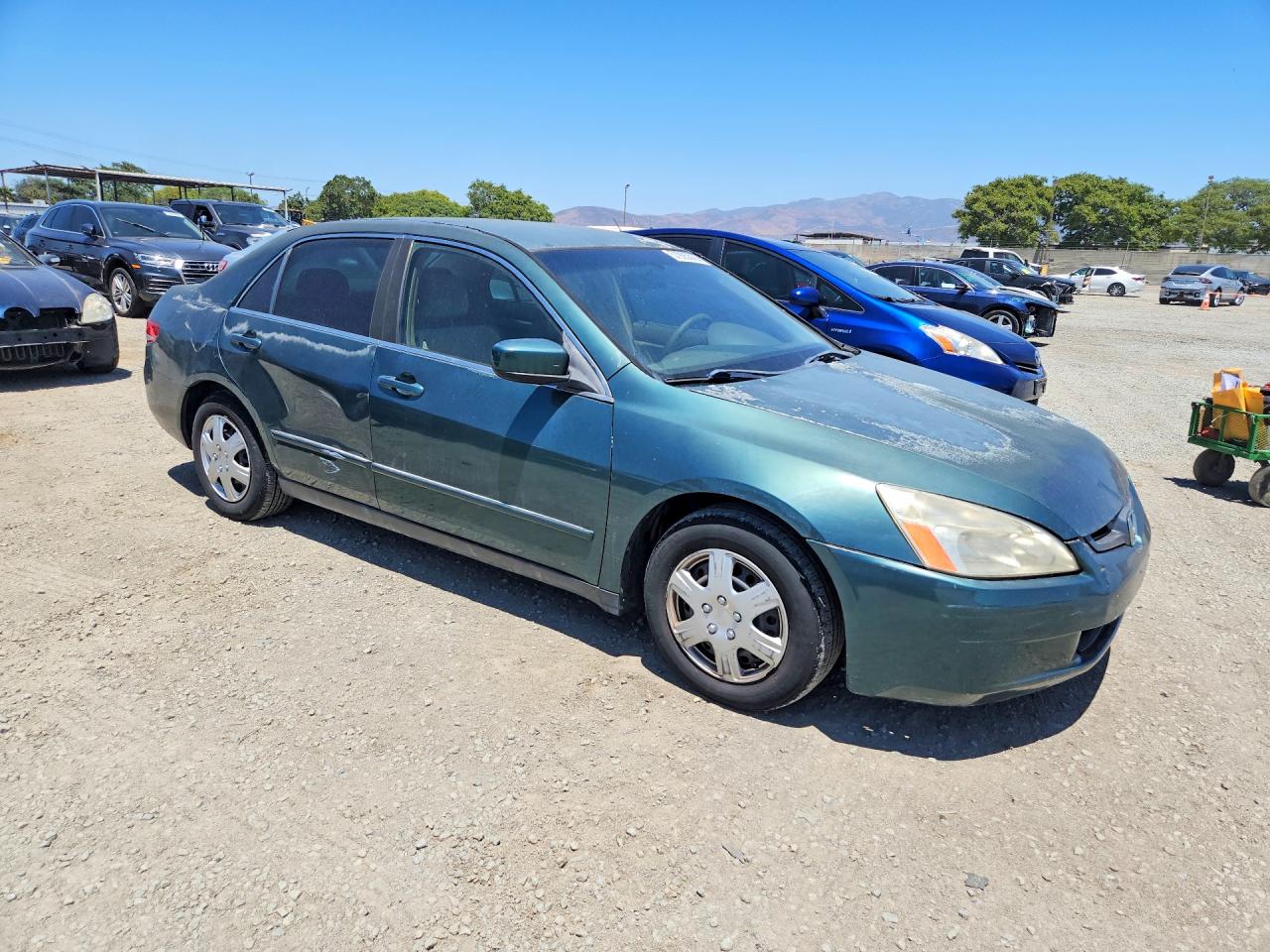 2003 Honda Accord Lx Green vin: JHMCM56343C023833