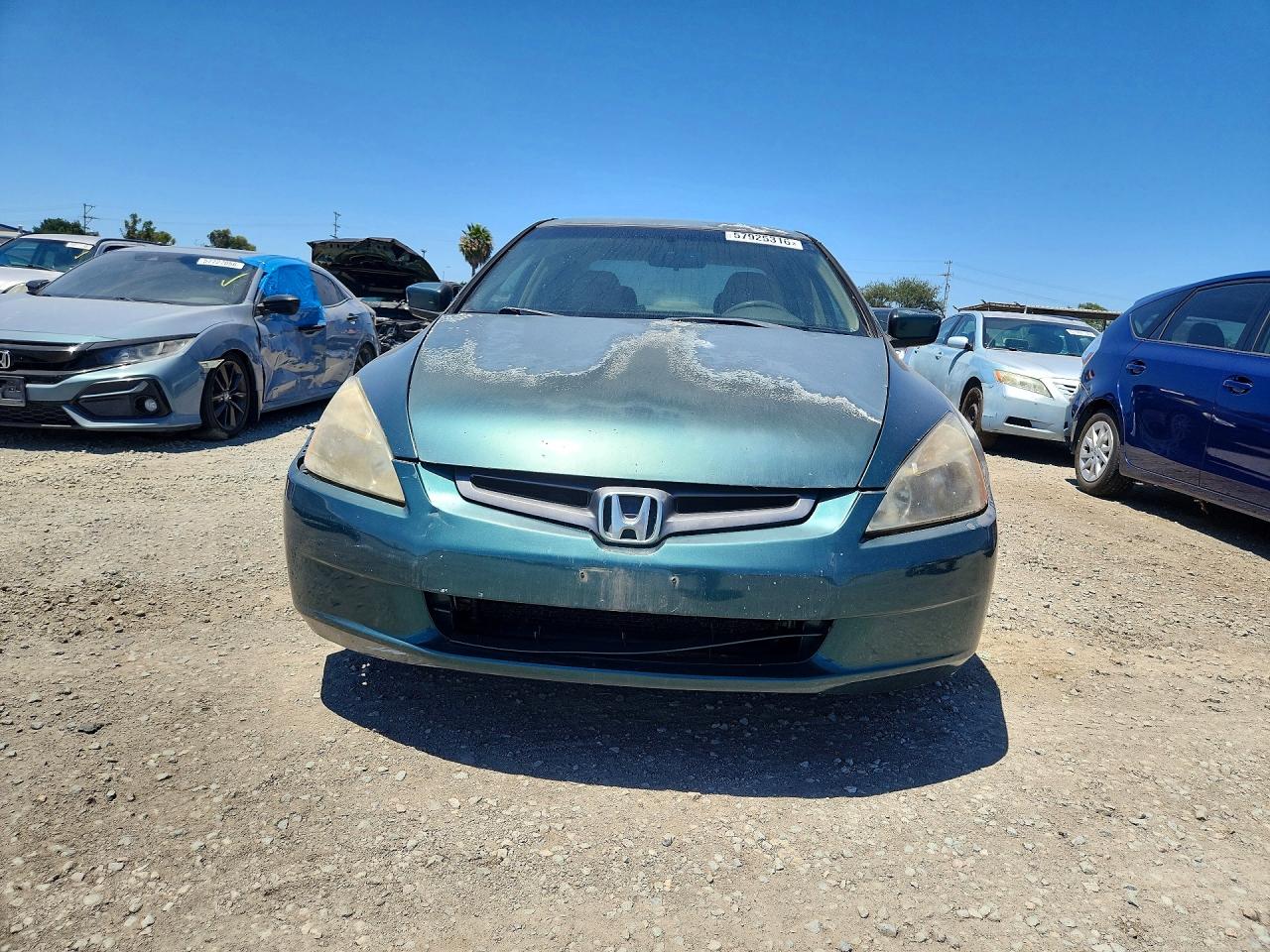 2003 Honda Accord Lx Green vin: JHMCM56343C023833