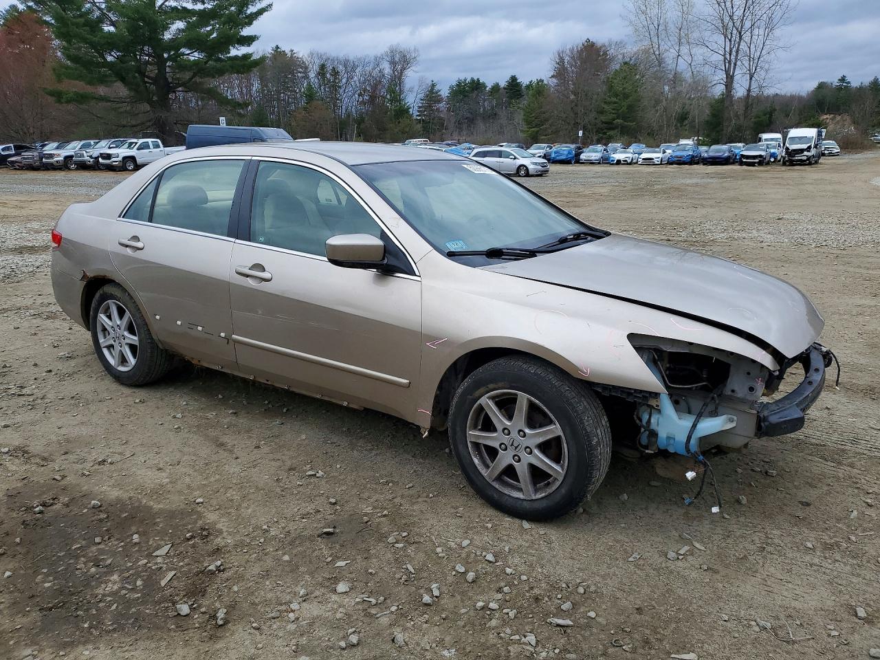 2003 Honda Accord Lx Silver vin: JHMCM56363C031710