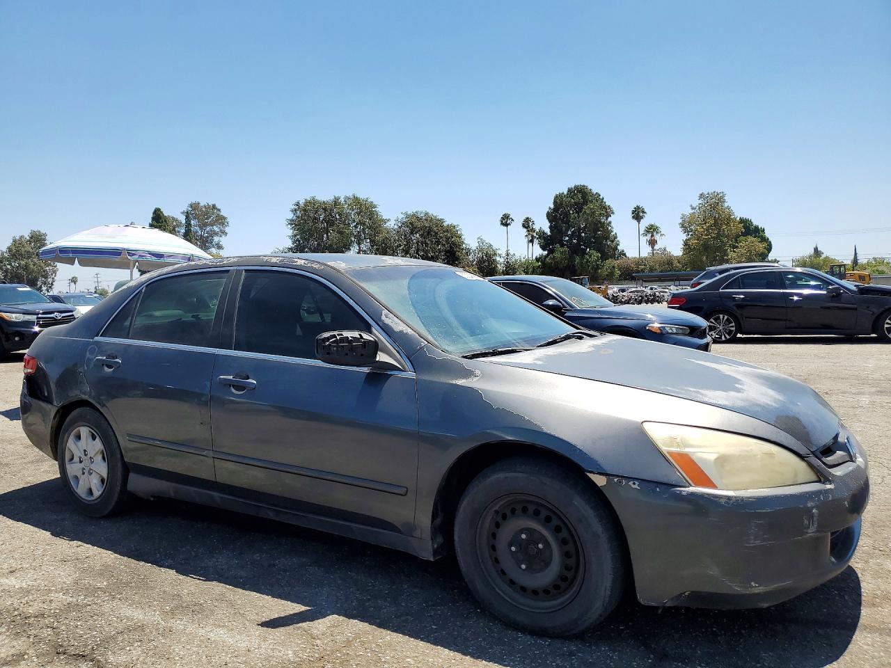 2004 Honda Accord Lx Серый vin: JHMCM56364C010292
