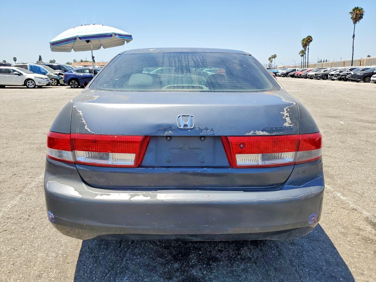 2004 Honda Accord Lx Серый vin: JHMCM56364C010292