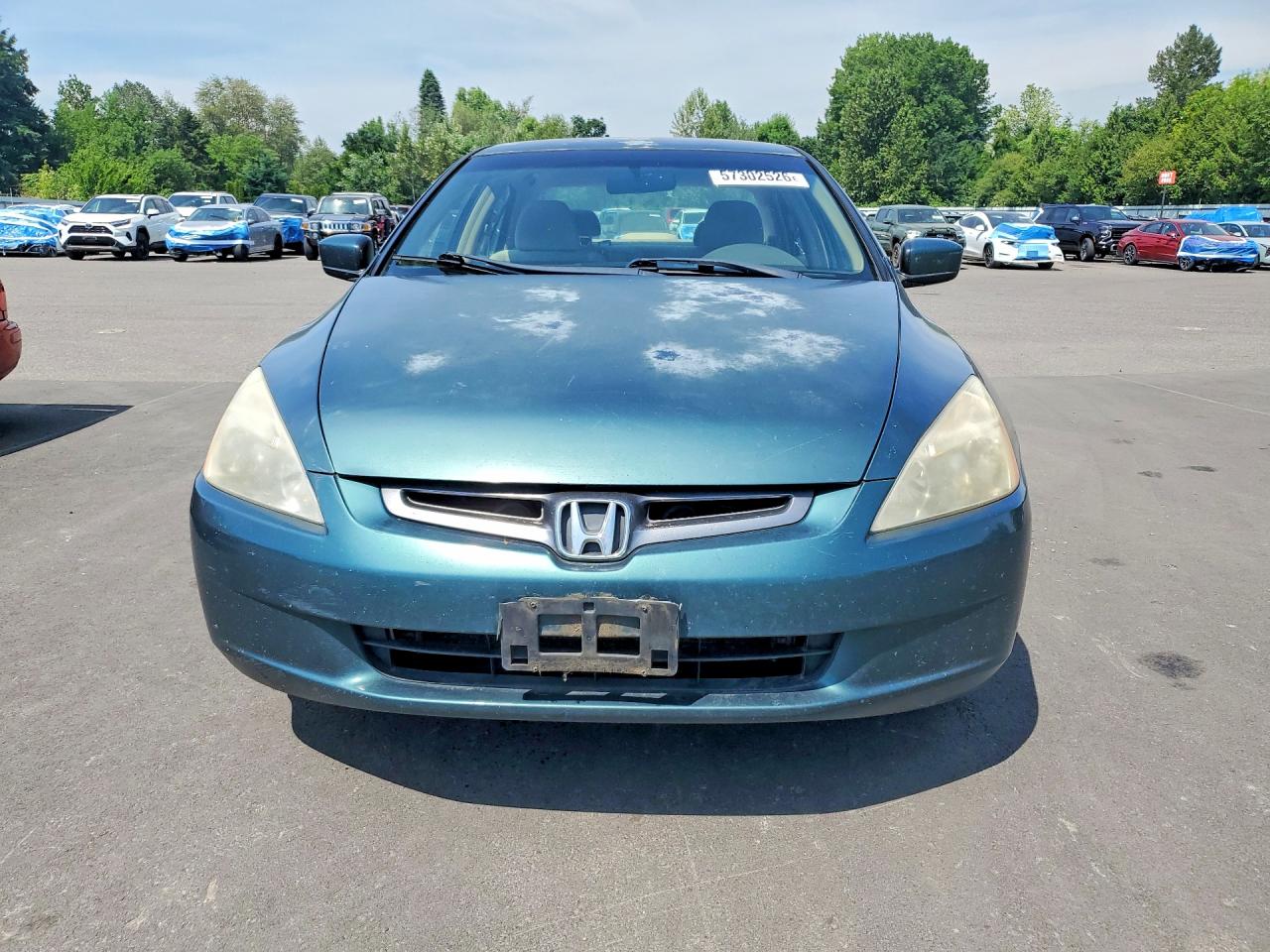 2003 Honda Accord Lx Teal vin: JHMCM56383C011135