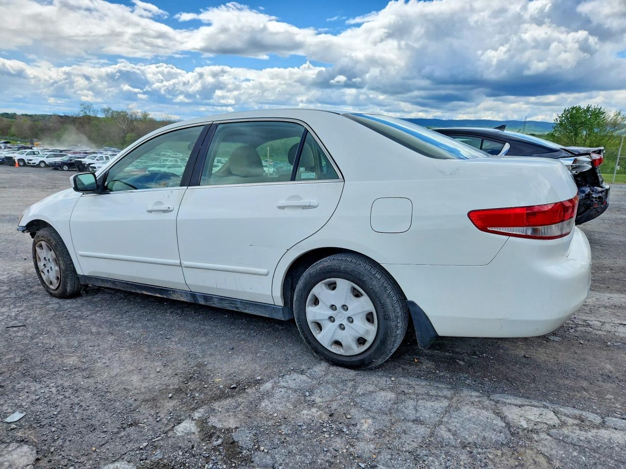 2004 Honda Accord Lx White vin: JHMCM56384C036375