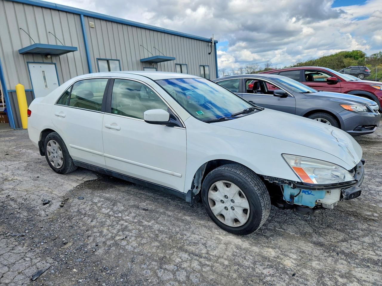 2004 Honda Accord Lx White vin: JHMCM56384C036375