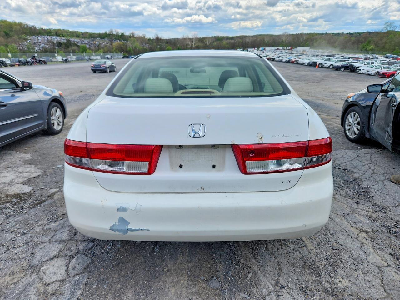 2004 Honda Accord Lx White vin: JHMCM56384C036375