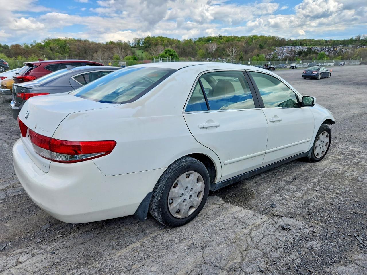 2004 Honda Accord Lx White vin: JHMCM56384C036375