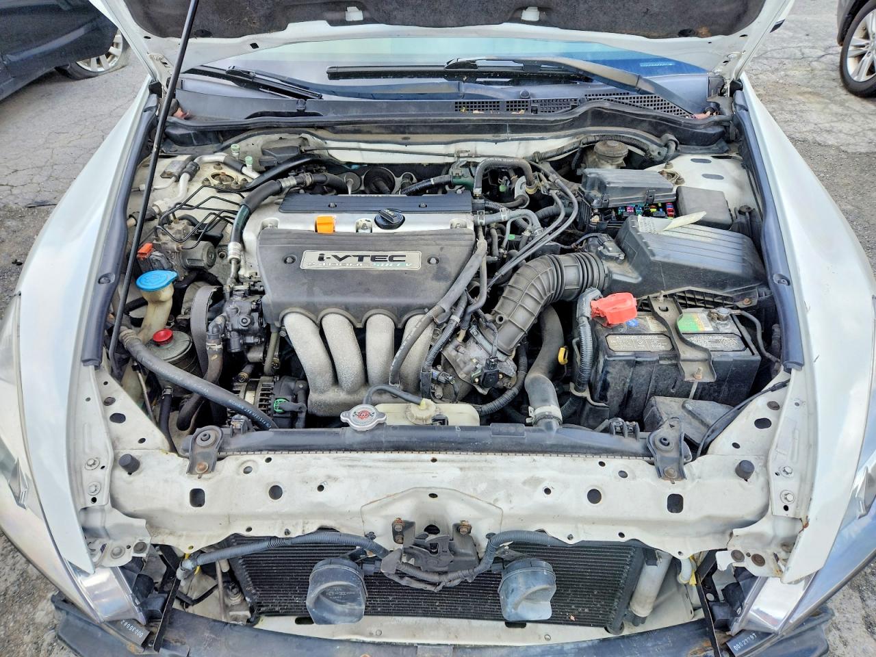 2004 Honda Accord Lx White vin: JHMCM56384C036375