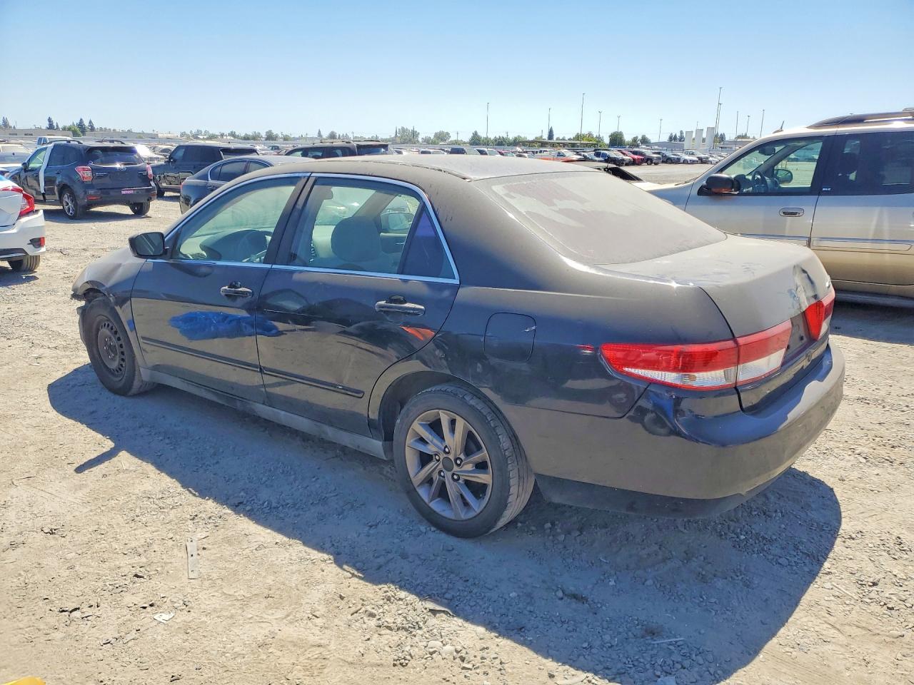 2003 Honda Accord Lx Black vin: JHMCM563X3C069330