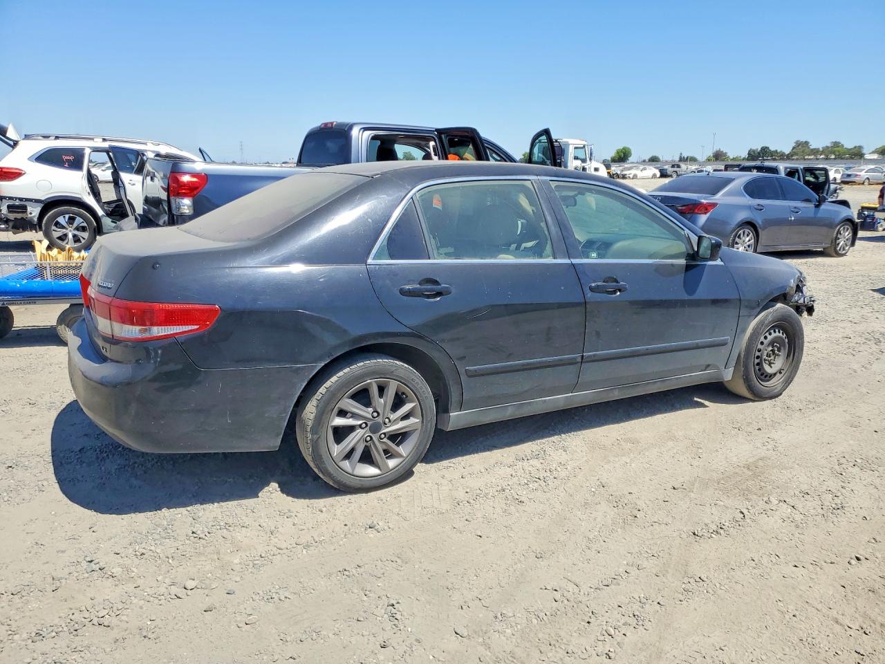 2003 Honda Accord Lx Black vin: JHMCM563X3C069330