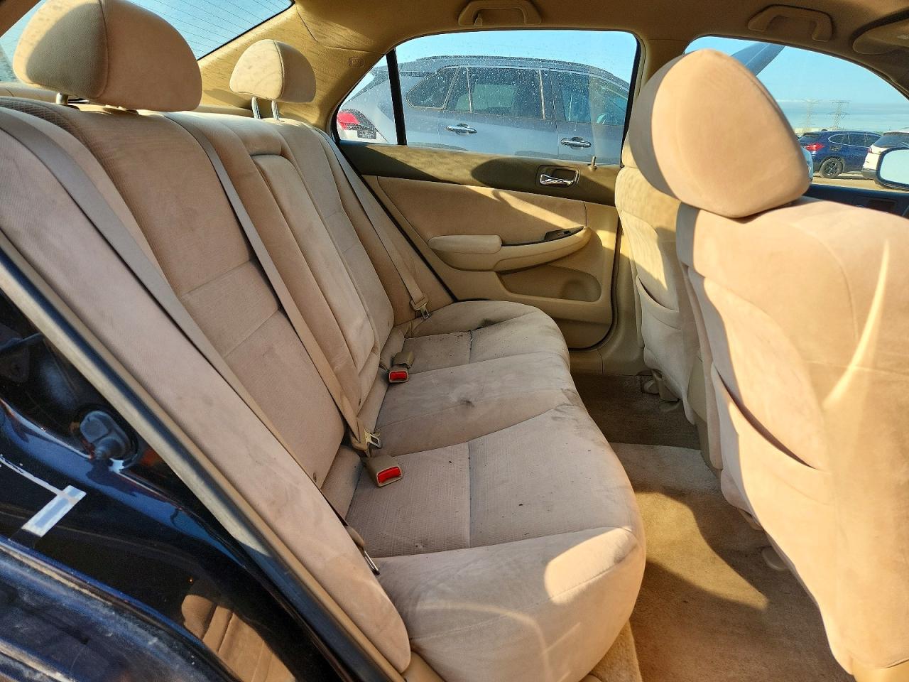 2007 Honda Accord Lx Black vin: JHMCM56427C017219