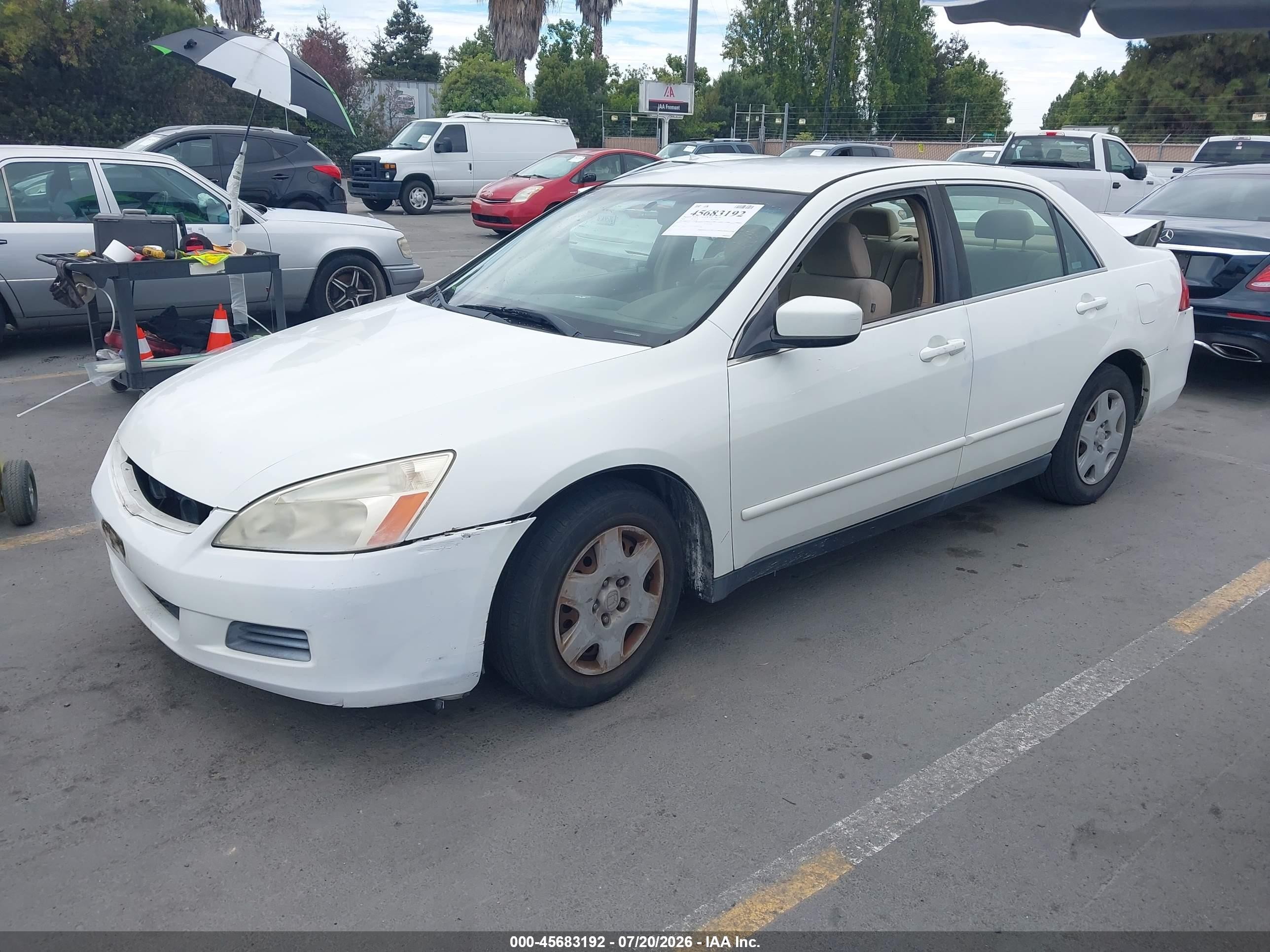 2006 Honda Accord 2.4 Lx Белый vin: JHMCM56446C001098