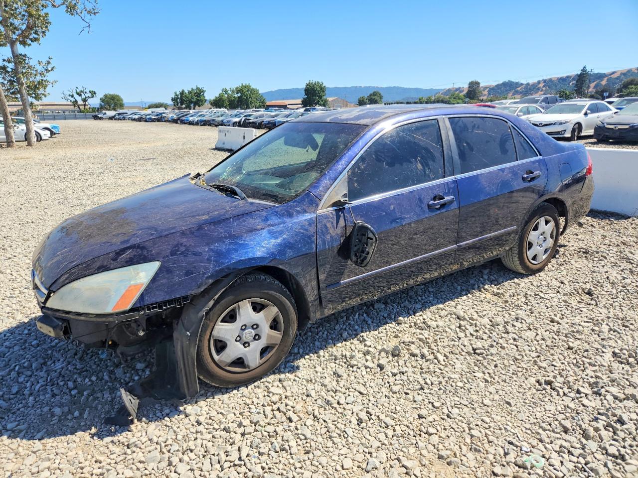 2006 Honda Accord Lx Blue vin: JHMCM56446C008679