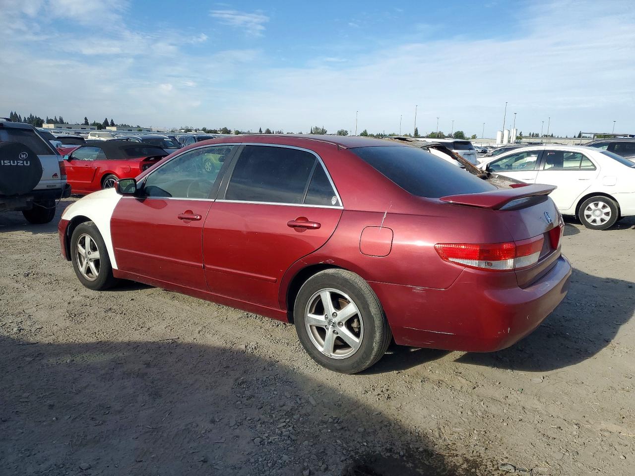 2003 Honda Accord Ex Burgundy vin: JHMCM56623C009620