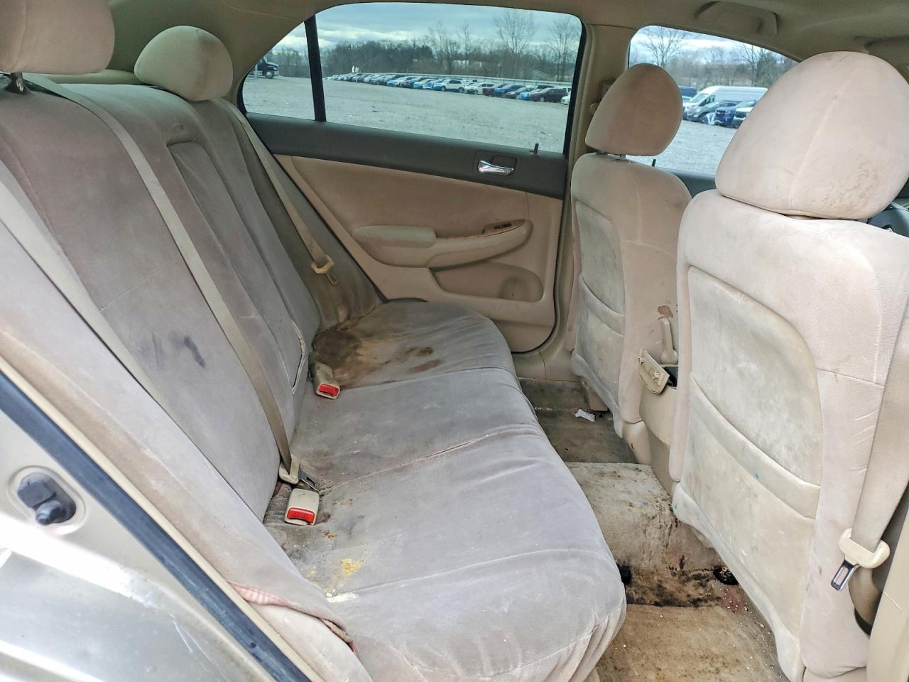 2004 Honda Accord Ex Gold vin: JHMCM56624C030176