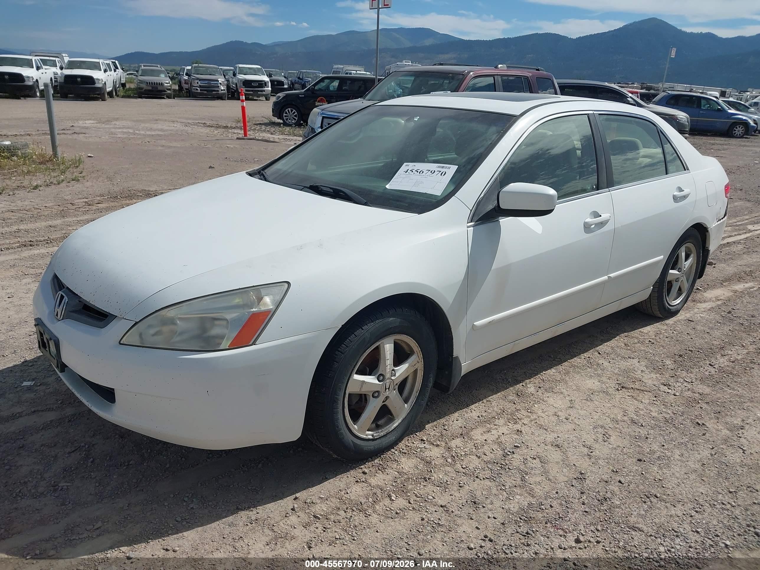 2004 Honda Accord 2.4 Ex White vin: JHMCM56654C033024