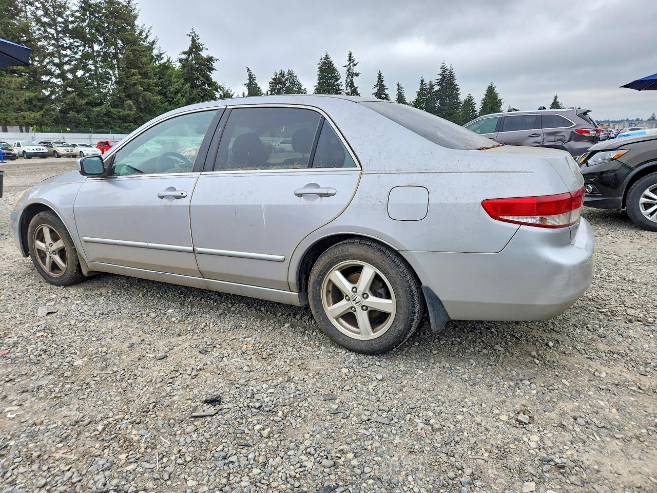 2003 Honda Accord Ex Silver vin: JHMCM566X3C061237