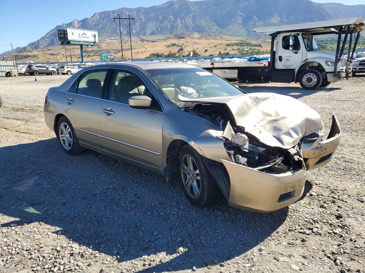2006 Honda Accord Ex Beige vin: JHMCM56866C010789
