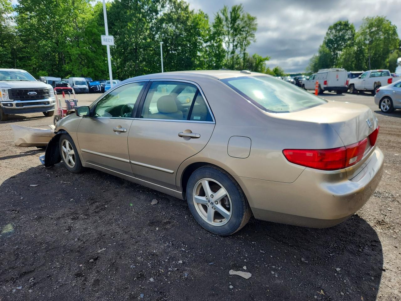 2005 Honda Accord Ex Gold vin: JHMCM56895C005083
