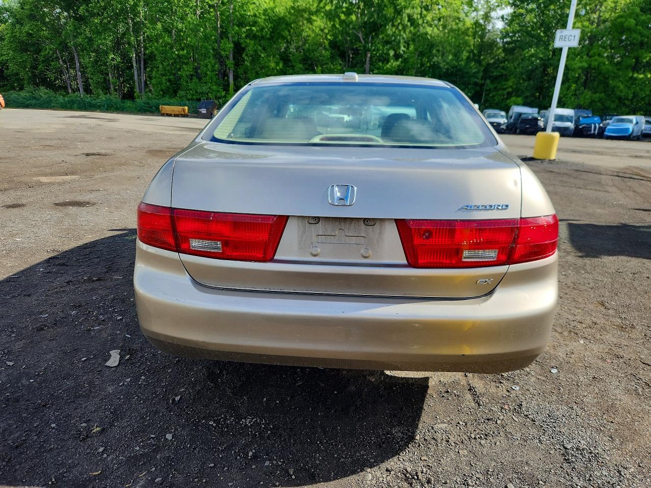 2005 Honda Accord Ex Gold vin: JHMCM56895C005083