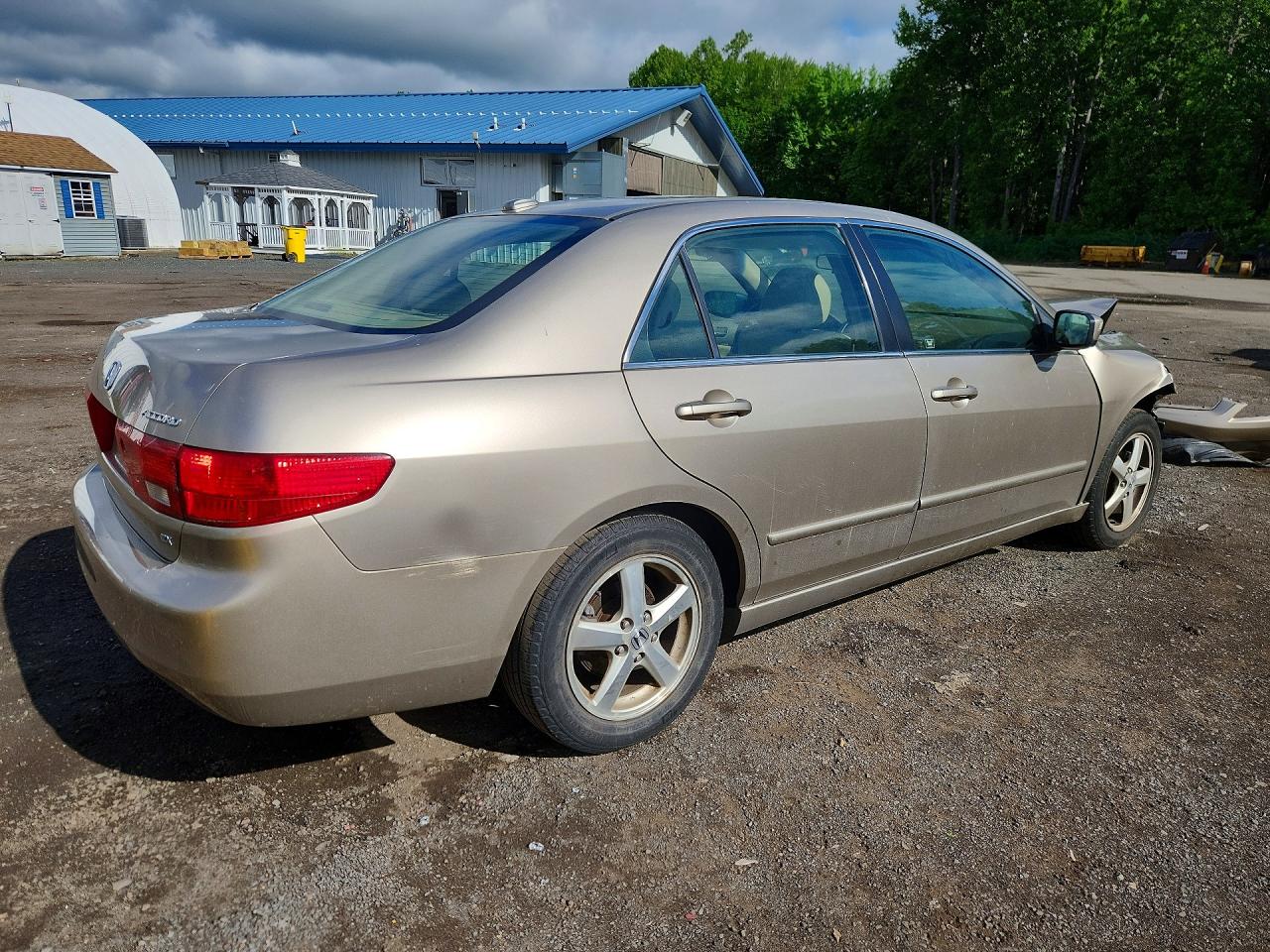 2005 Honda Accord Ex Gold vin: JHMCM56895C005083