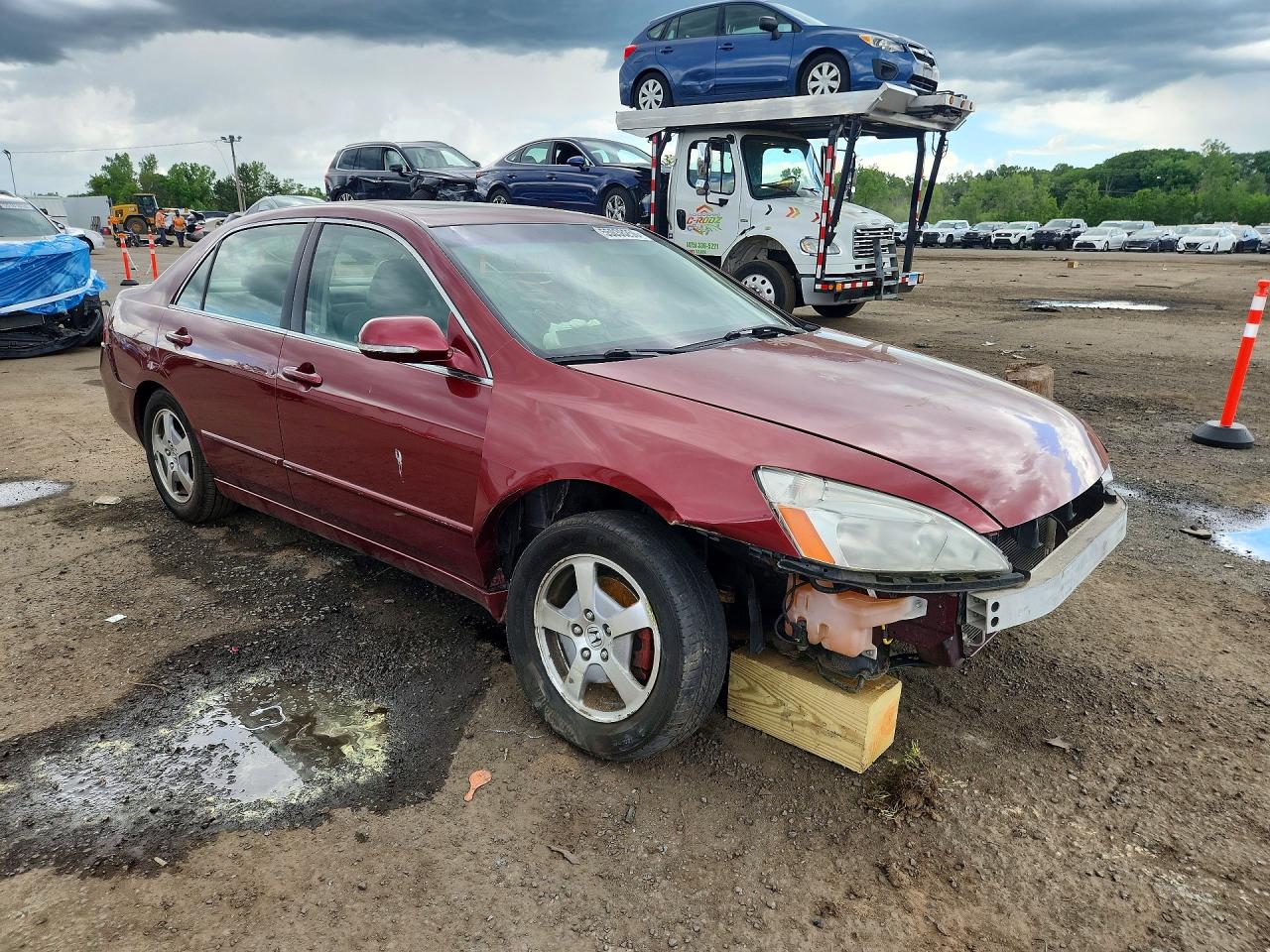 2006 Honda Accord Hybrid Burgundy vin: JHMCN36446C002592
