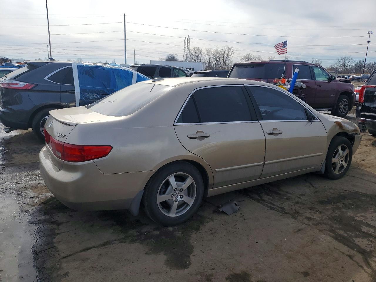 2005 Honda Accord Hybrid Gold vin: JHMCN36475C018901