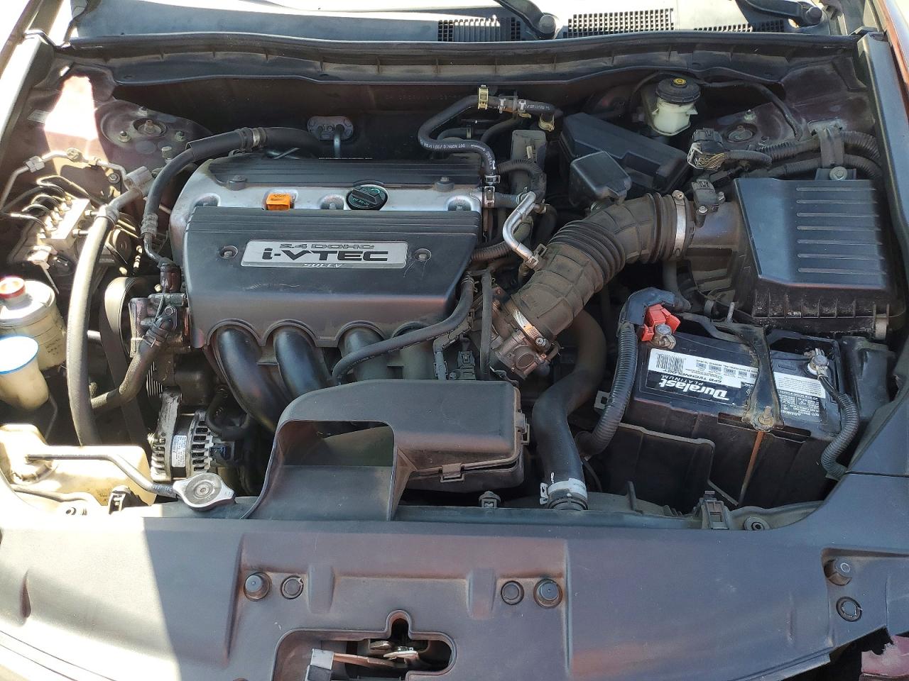 2008 Honda Accord Lx Burgundy vin: JHMCP26308C028797