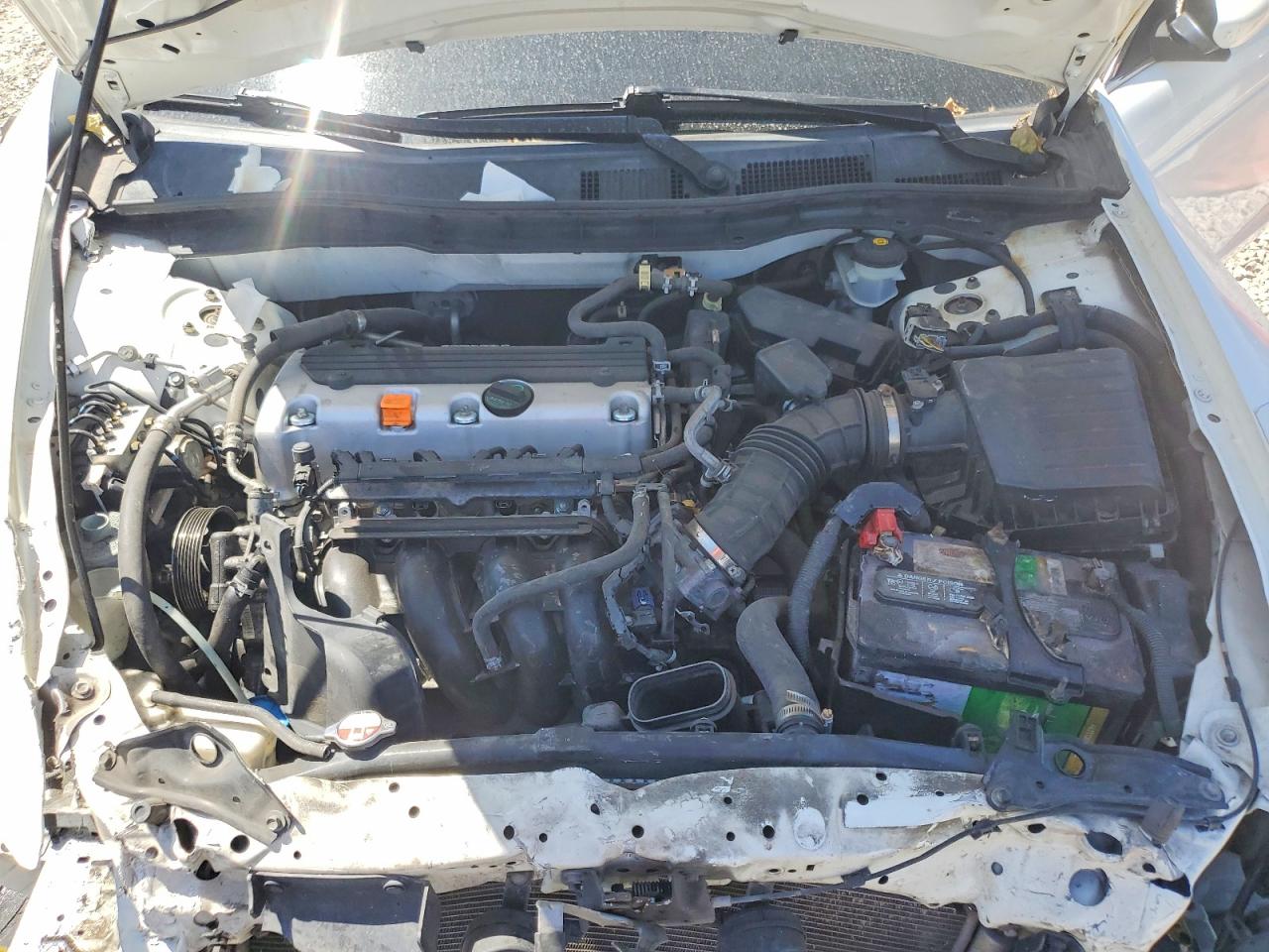2008 Honda Accord Lx White vin: JHMCP26338C043584