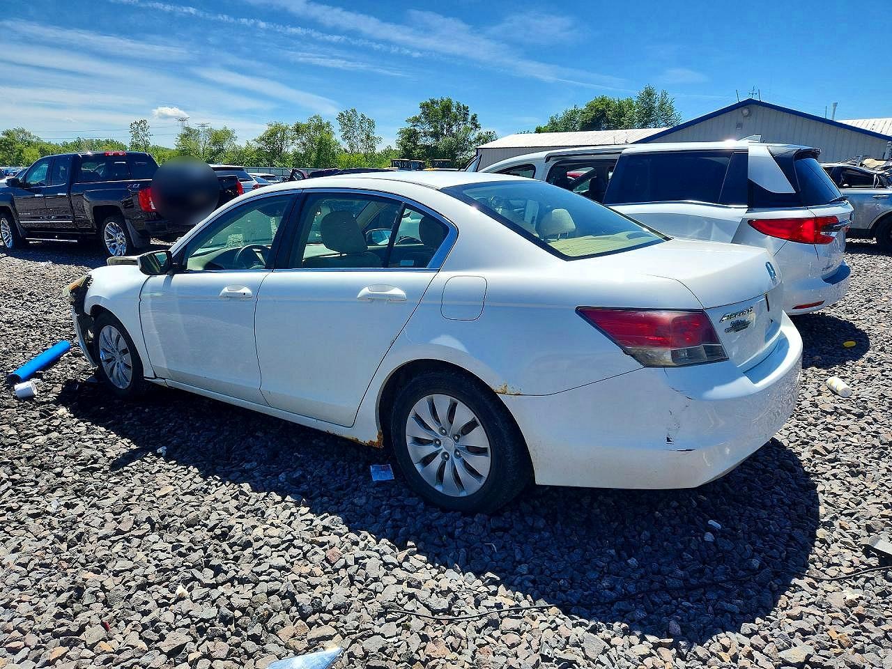 2008 Honda Accord Lx White vin: JHMCP26348C031508