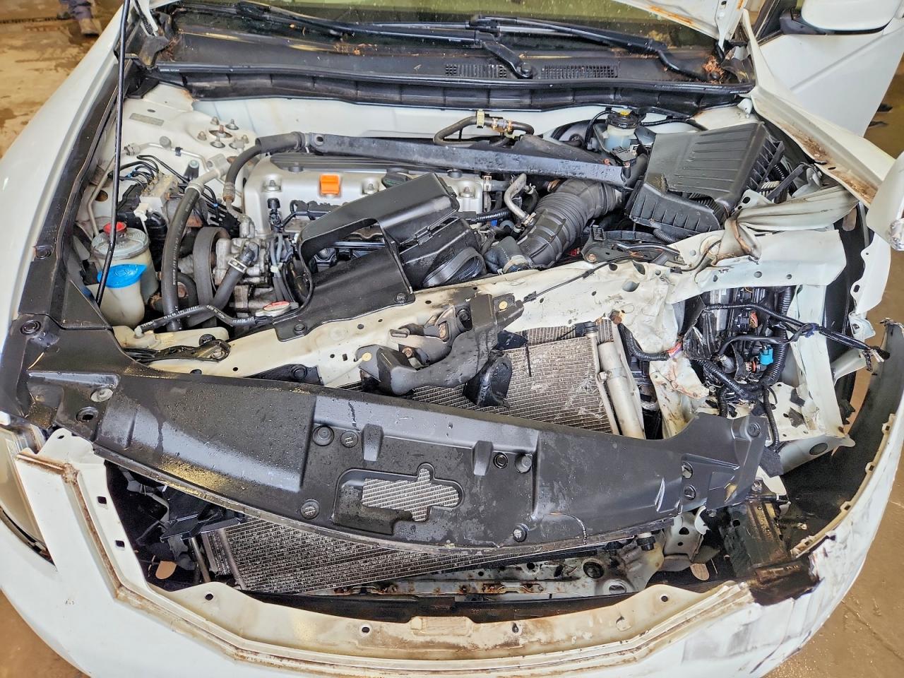 2008 Honda Accord Lx Белый vin: JHMCP26368C073842