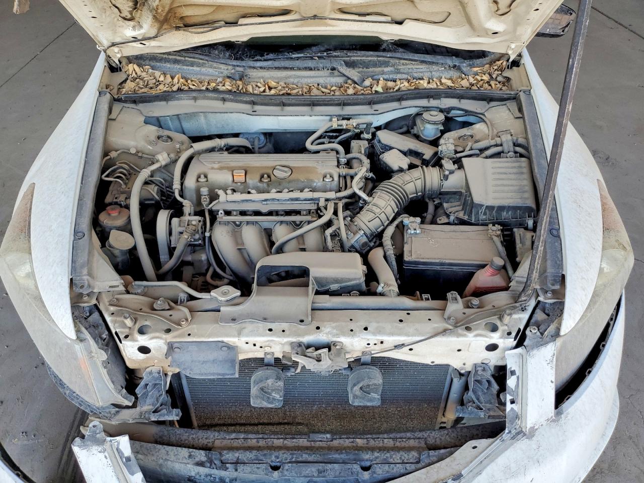 2008 Honda Accord Lxp White vin: JHMCP26408C040019