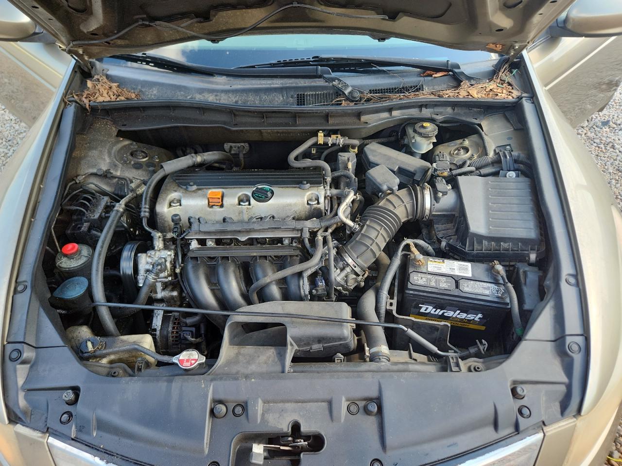 2008 Honda Accord Lxp Gold vin: JHMCP26408C060349