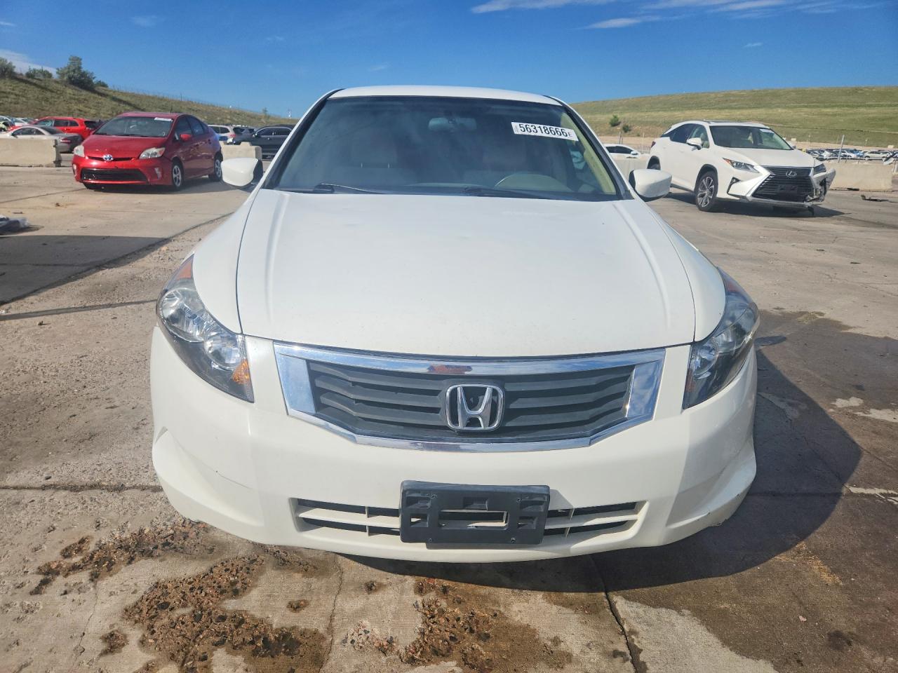 2009 Honda Accord Lxp White vin: JHMCP26419C007709