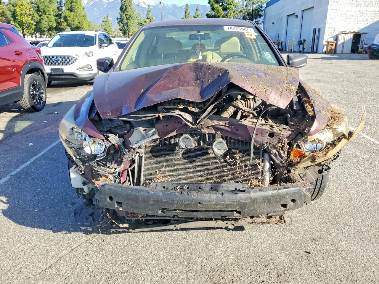 2008 Honda Accord Lxp Burgundy vin: JHMCP26498C031240