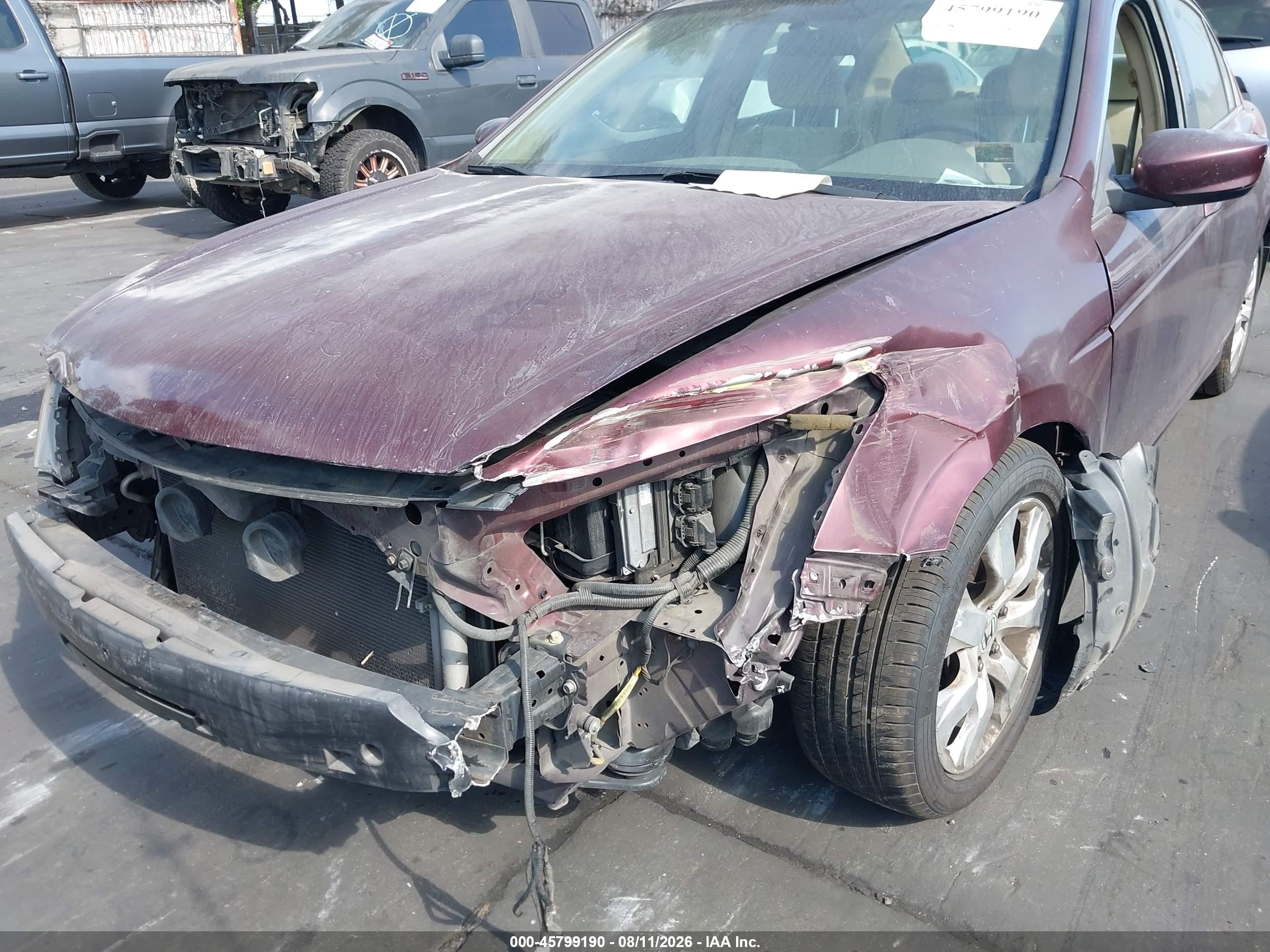 2008 Honda Accord 2.4 Lx-p Purple vin: JHMCP26498C035322