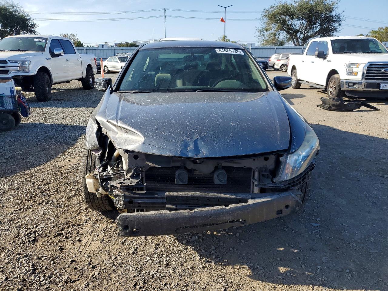 2009 Honda Accord Lxp Gray vin: JHMCP26499C004749