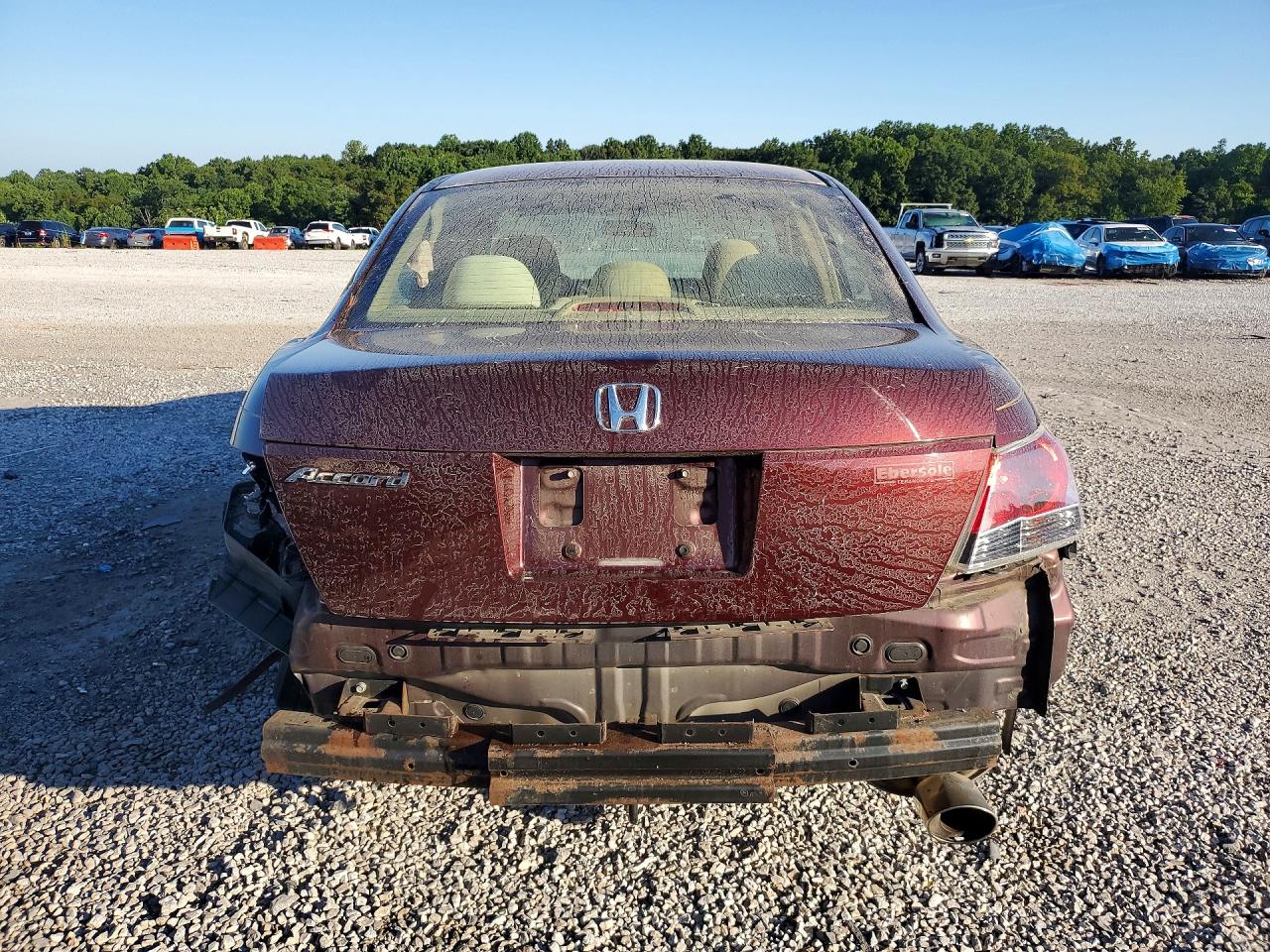2008 Honda Accord Lxp Burgundy vin: JHMCP264X8C043395