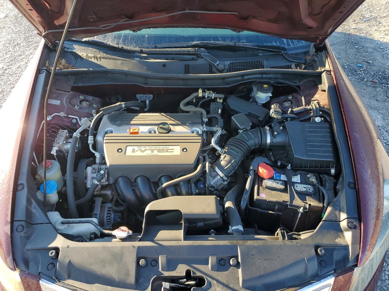 2008 Honda Accord Lxp Burgundy vin: JHMCP264X8C043395