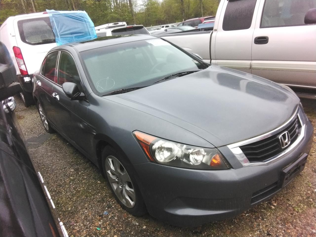 2009 Honda Accord Ex Gray vin: JHMCP26759C017668