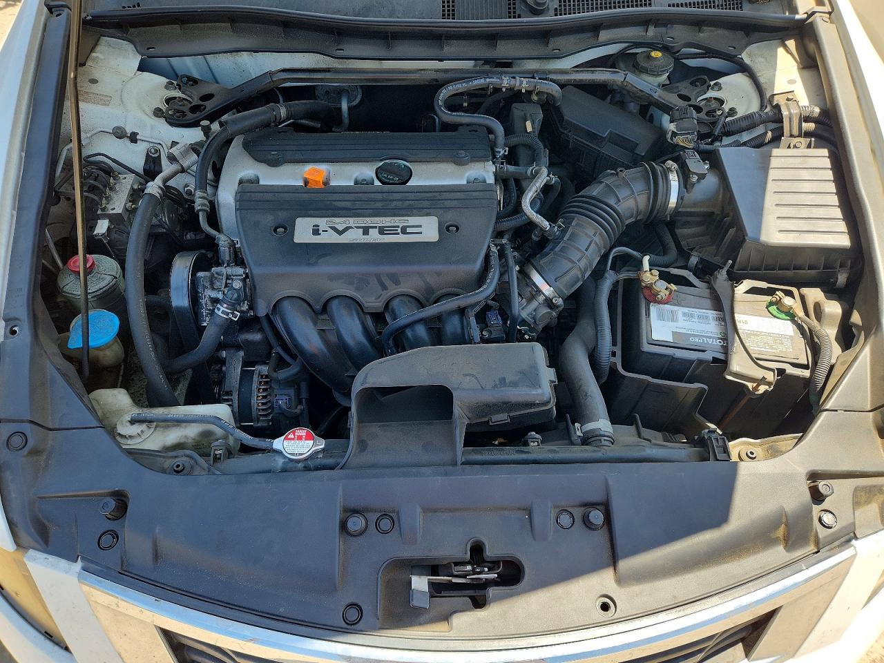 2009 Honda Accord Exl Белый vin: JHMCP26809C017540