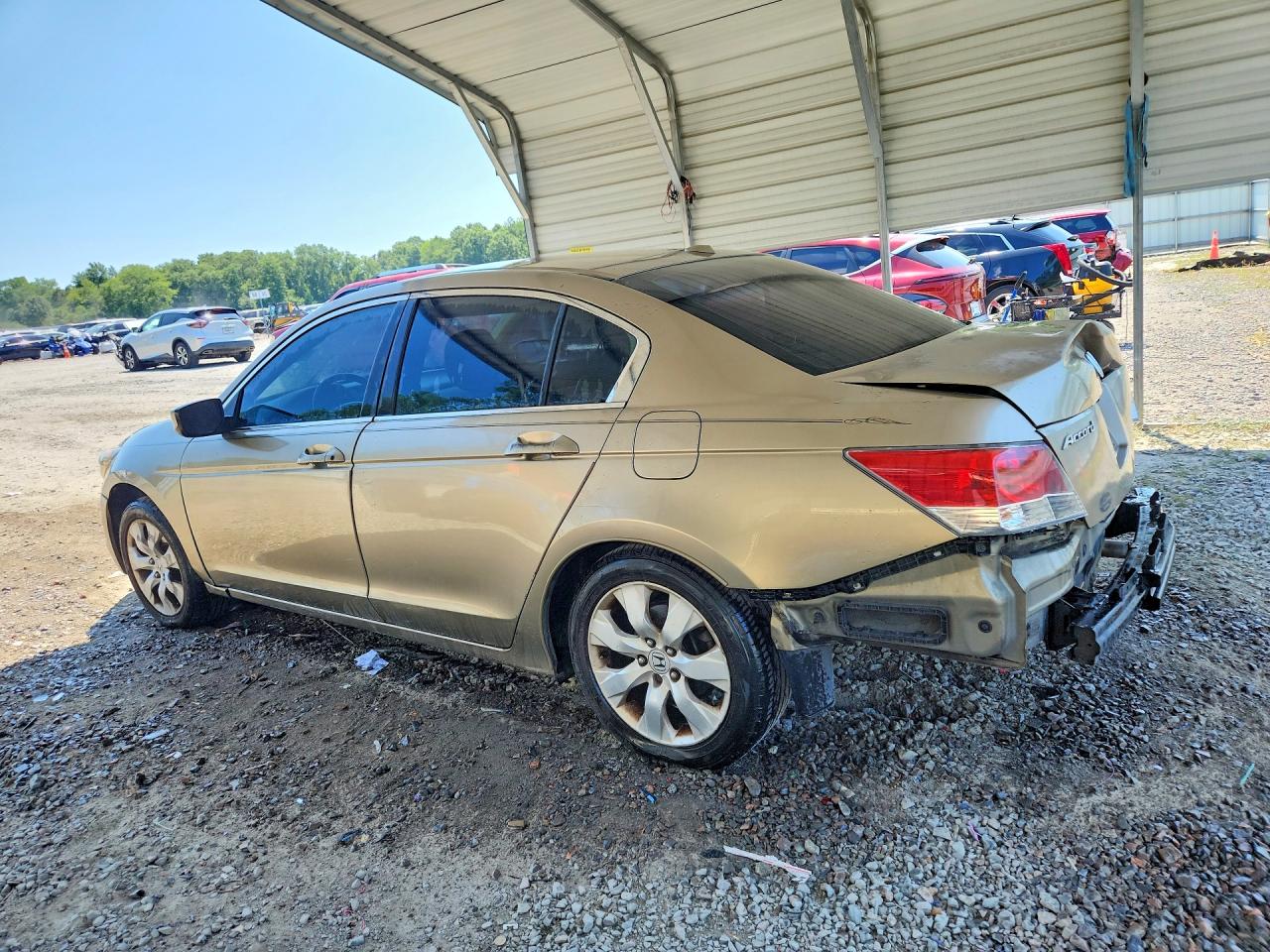 2008 Honda Accord Exl Бежевый vin: JHMCP26818C070505