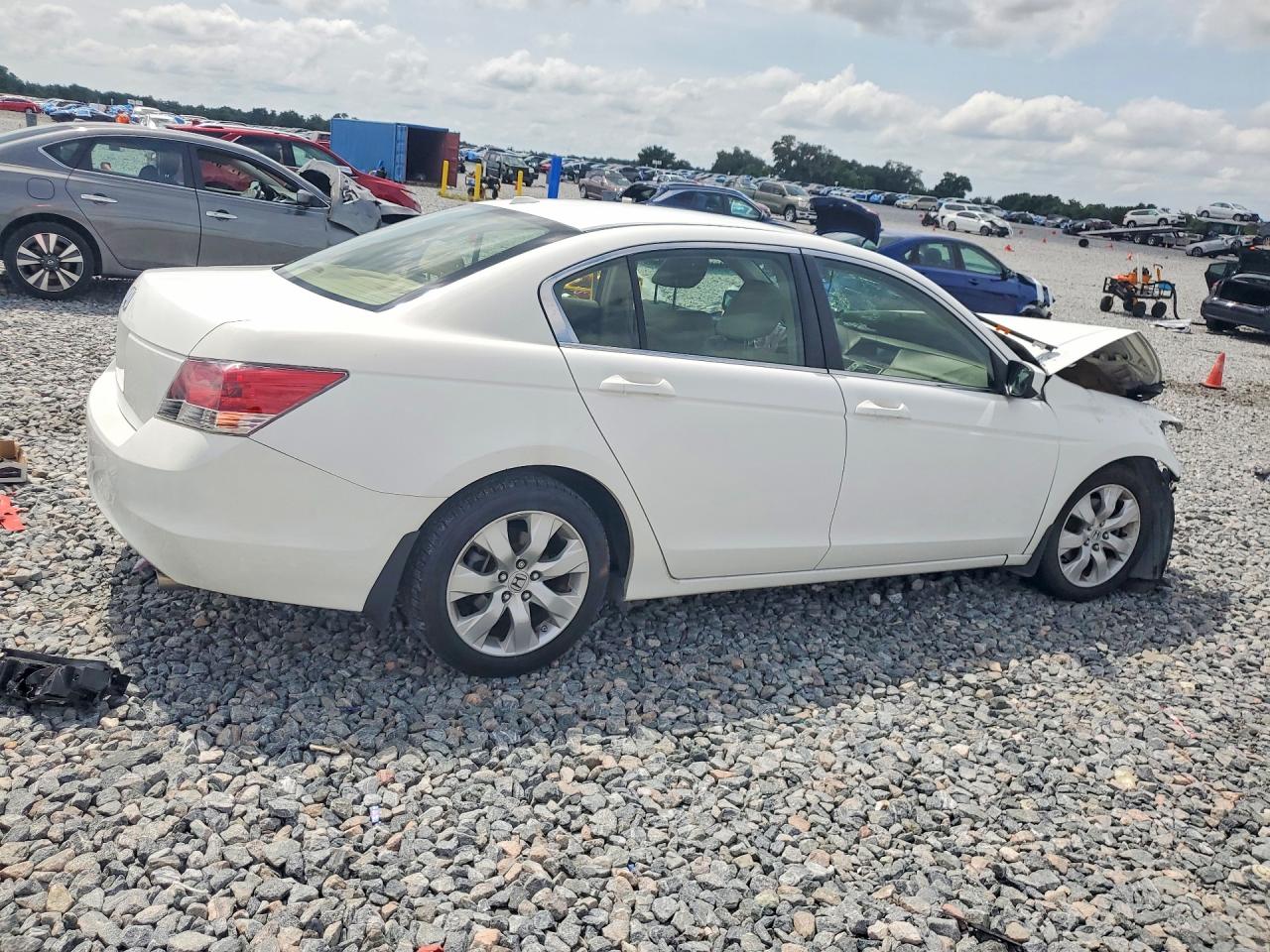 2008 Honda Accord Exl White vin: JHMCP26828C071906