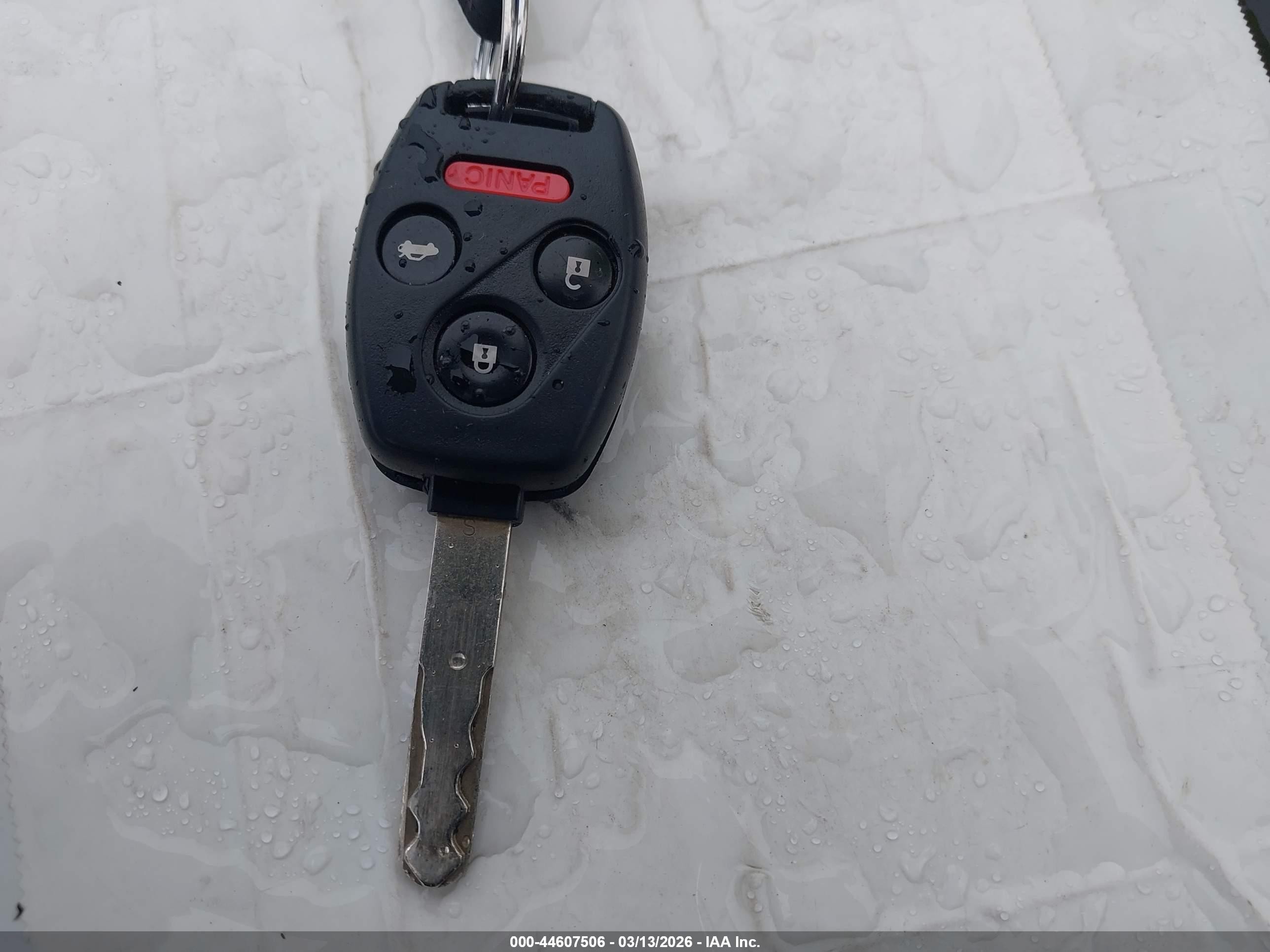2008 Honda Accord 2.4 Ex-l Зеленый vin: JHMCP26848C014655