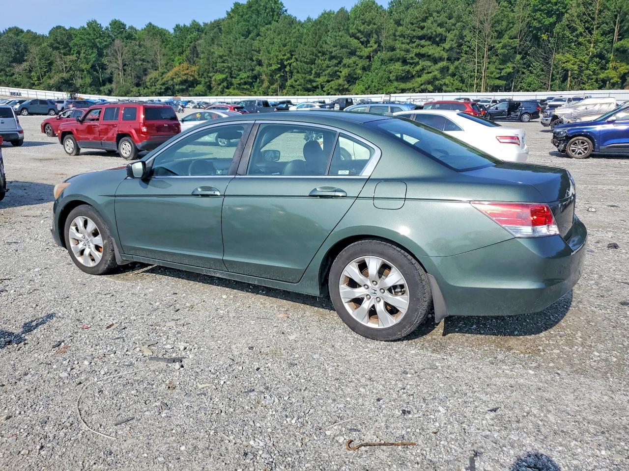 2008 Honda Accord Exl Green vin: JHMCP26848C024859