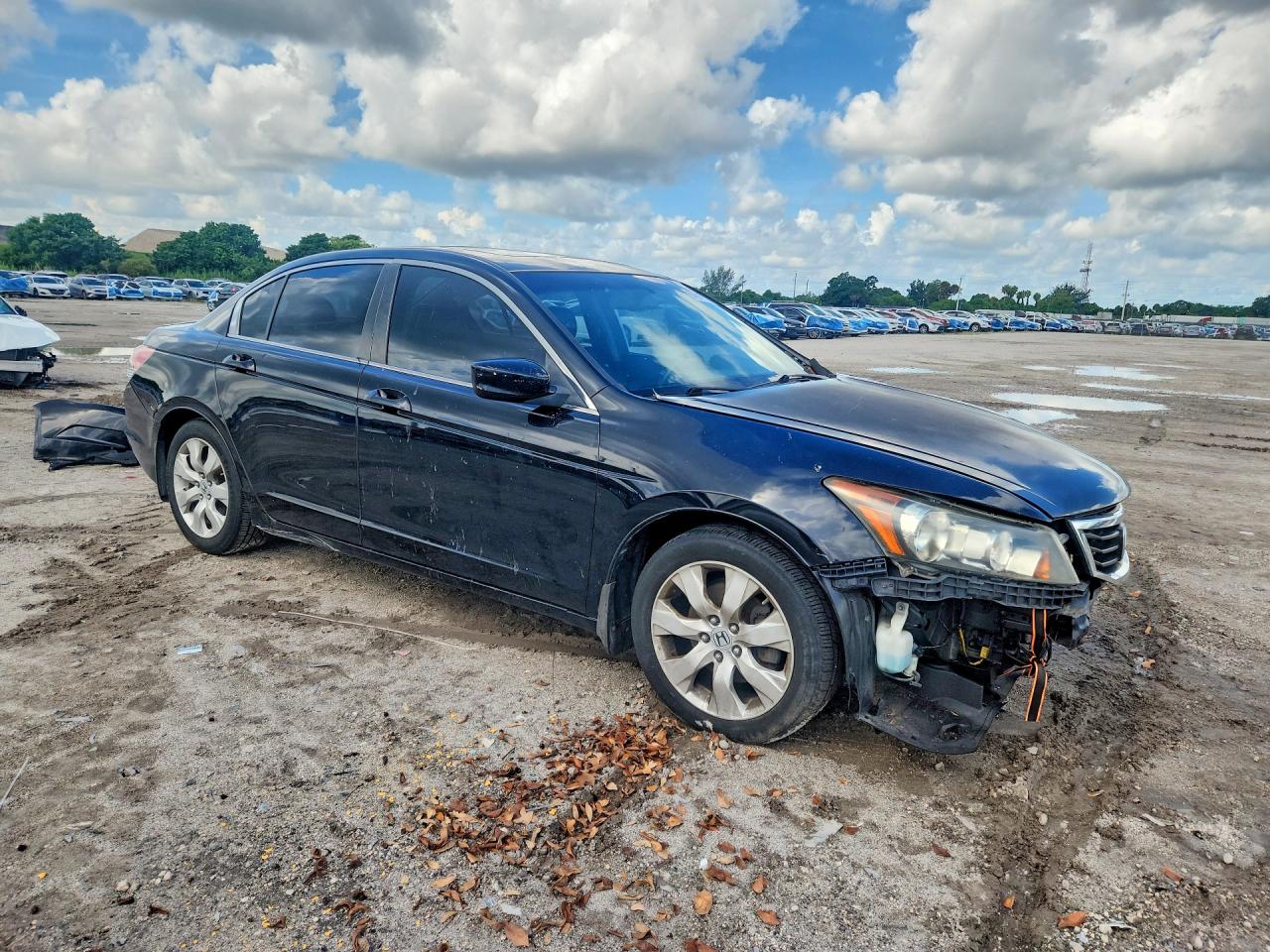2008 Honda Accord Exl Black vin: JHMCP26848C025784