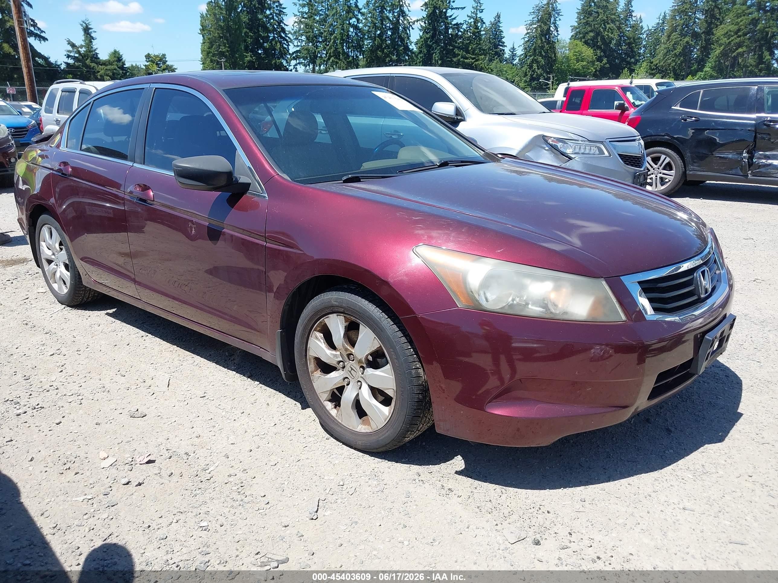 2008 Honda Accord 2.4 Ex-l Burgundy vin: JHMCP26848C037420