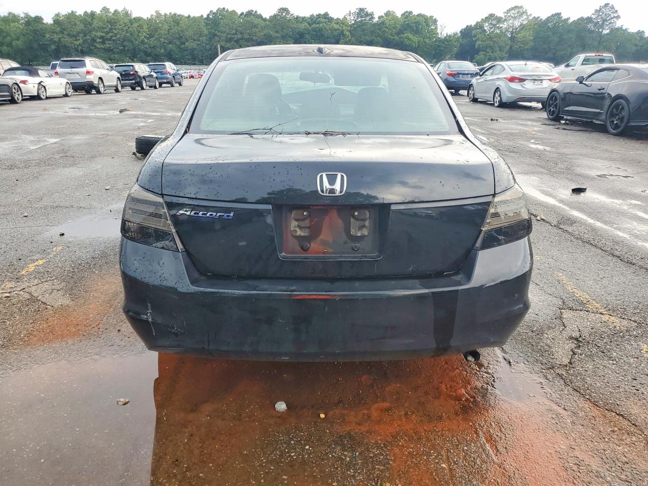 2008 Honda Accord Exl Black vin: JHMCP26868C025799