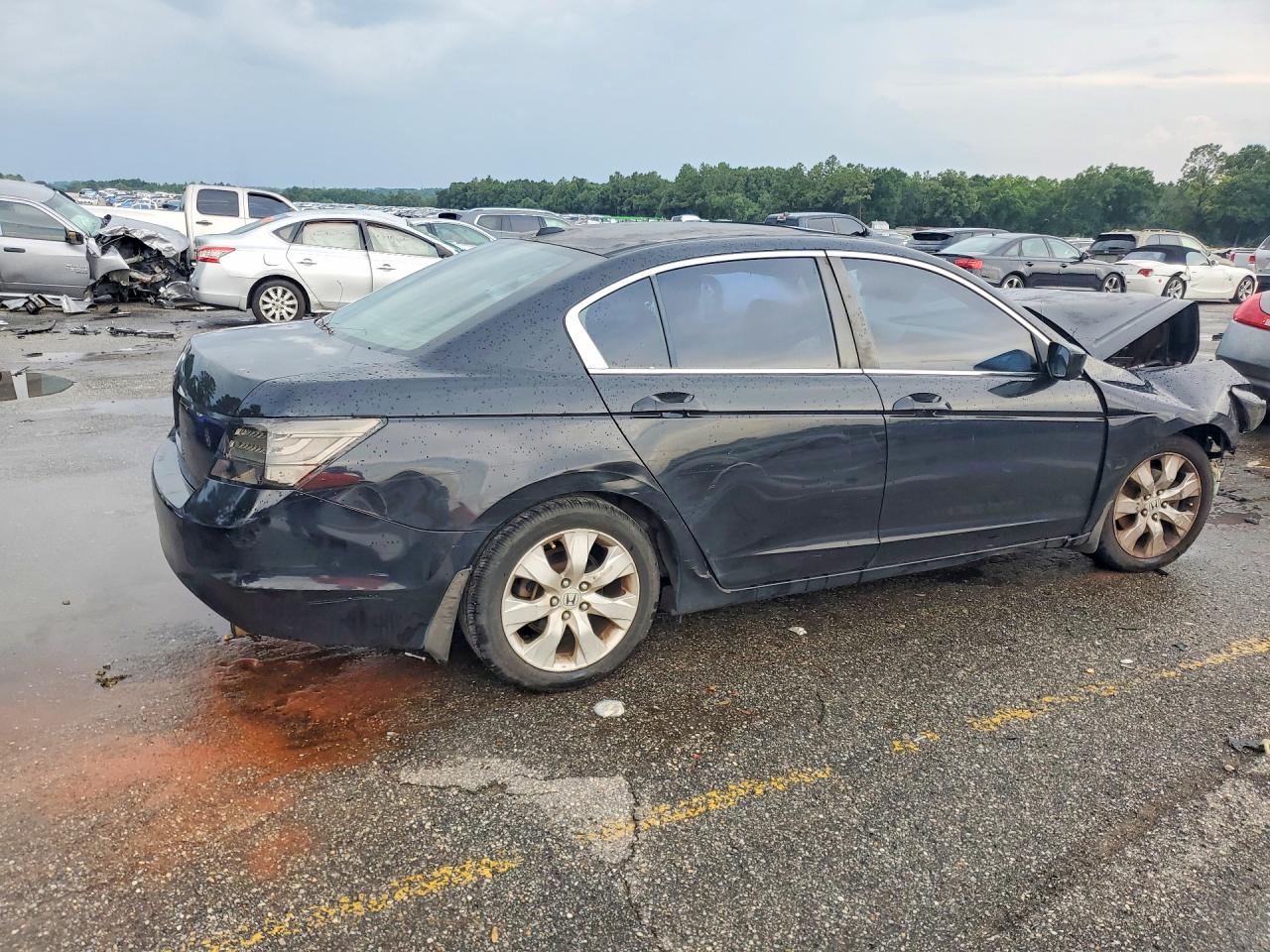 2008 Honda Accord Exl Black vin: JHMCP26868C025799