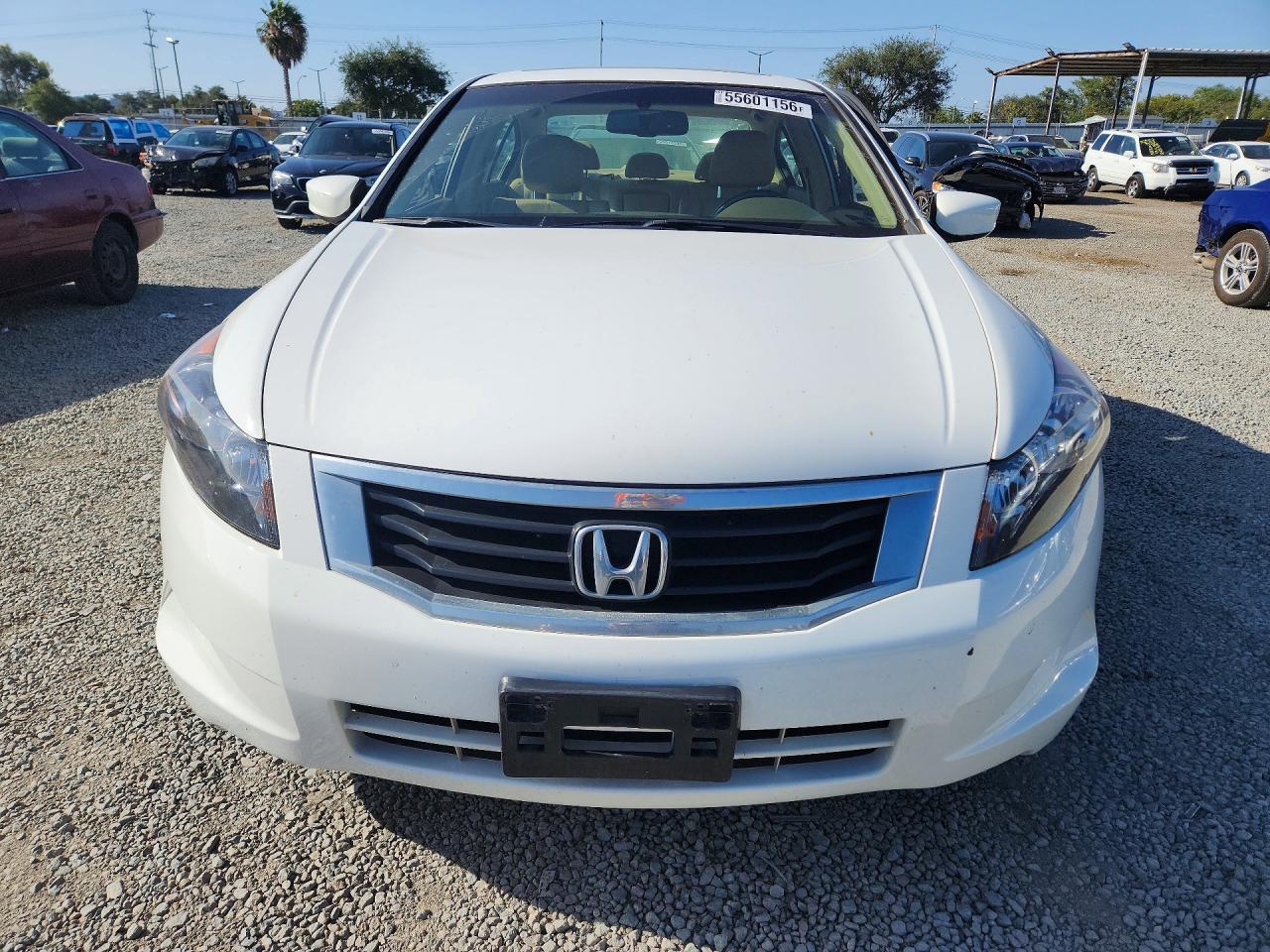2008 Honda Accord Exl White vin: JHMCP26878C042806