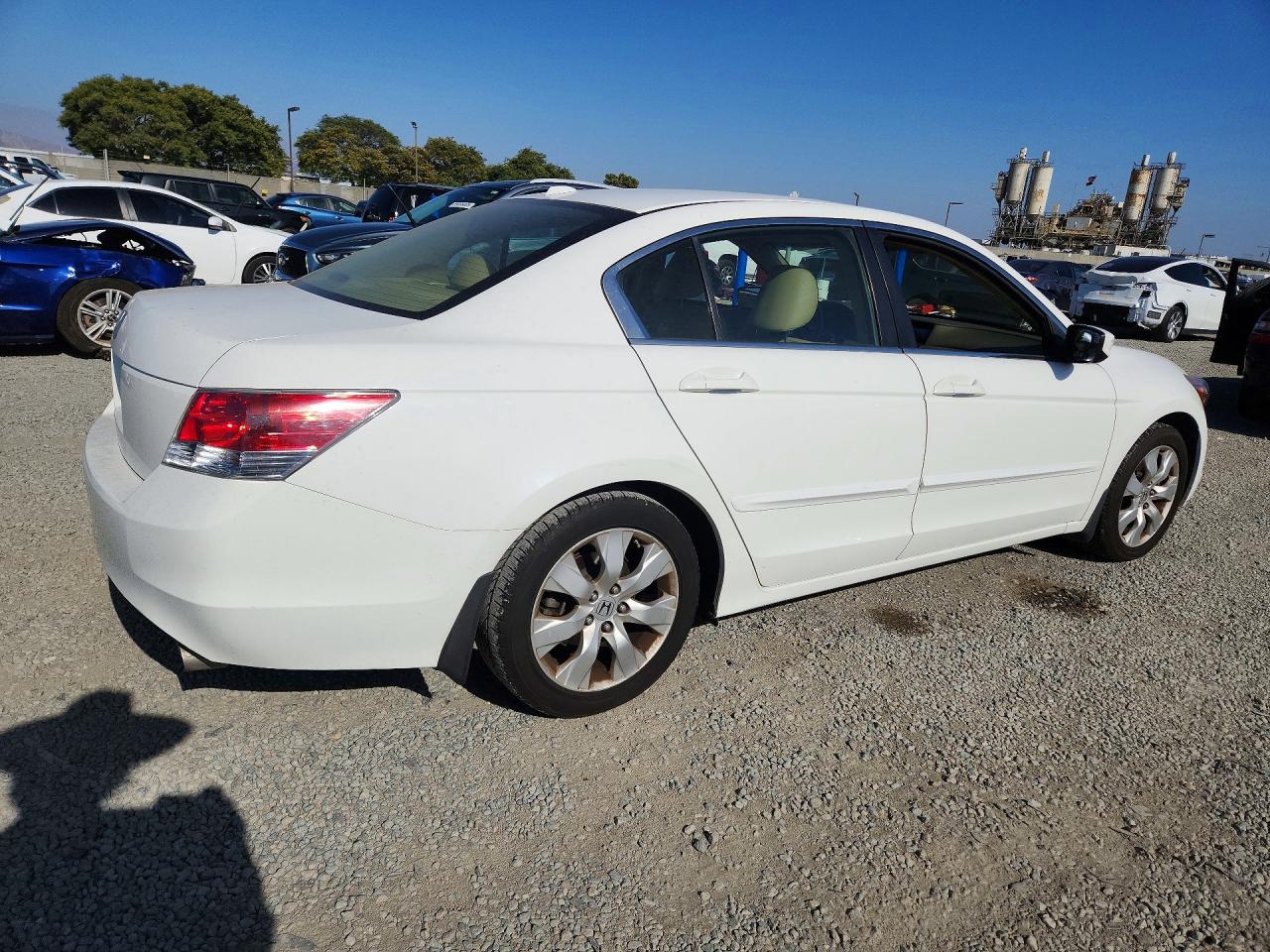 2008 Honda Accord Exl White vin: JHMCP26878C042806